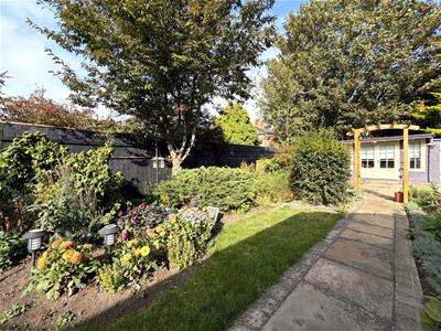 Picture 31